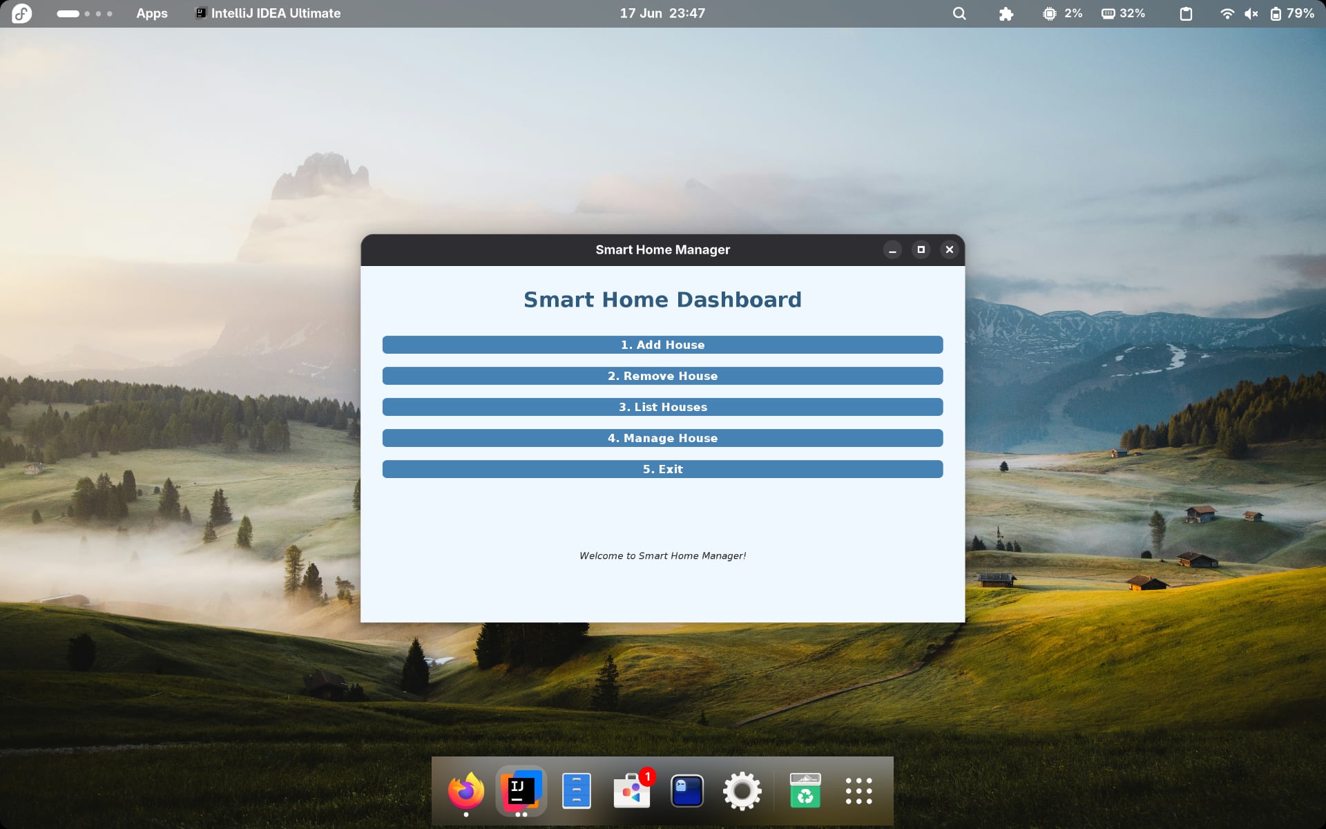 Project preview